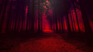 Multiple sizes available for all screen sizes. Forest With Trees In Red Effect Hd Red Aesthetic Wallpapers Hd Wallpapers Id 56024