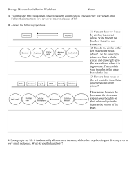 In order to access these resources, you will need to sign in or register for the website (takes literally 1 minute!) and contribute 10 documents to the. Biology Macromolecule Review Worksheet