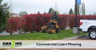 Cs yard & tree trimming services. Commercial Lawn Mowing Amazing Landscape Services