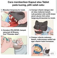 Saya bukanlah seorang veterinar atau seorang yang expert di dalam bab kucing. Shop Malaysia 4 In 1 Ubat Demam Selsema Cirit Birit Pernafasan Kucing Octamic 4 In 1 Fever Flu Diarrhea Breathing For Cart Shopee Singapore