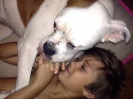 Our dog Penny just ran away. We are