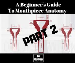 A Beginners Guide To Mouthpiece Anatomy Part 2 Dansr