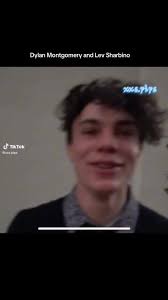 Dylan Y Levi