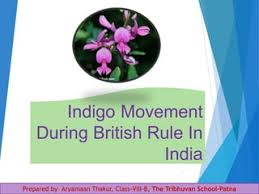 Indian Indigo during British period ...
