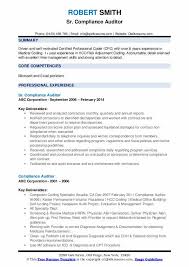compliance auditor resume samples