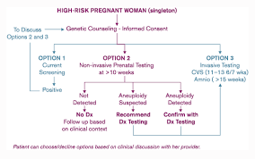 Verinatas Prenatal Testing Flow Chart Unethical Down