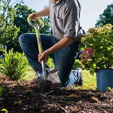 Use this tool to draw a circle by entering its radius along with an address. 15 Best Gardening Tools 2021