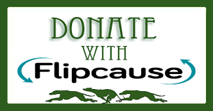 Tempest Smith Archives