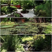 hortus botanicus leiden leiden botanical gardens all over the world