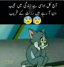 These funny quotes in urdu are adorable, and you can share them with your friends on whatsapp, facebook, and other social sites. Pin By Saba Khan On Favorite Fun Quotes Funny Exam Quotes Funny Urdu Funny Quotes