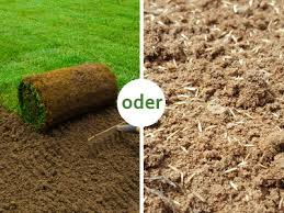 Rasen anlegen rasen säen rasen aussäen ausführliche anleitung rasen neu anlegen *mein rasensamen: Rasen Saen Oder Rollrasen Soforthilfe Zur Entscheidung Hilfreich