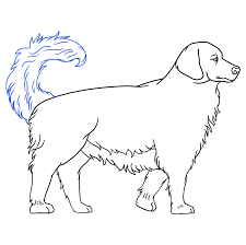 Oct 21, 2015 · if you want to draw a golden retriever we can work together. How To Draw A Golden Retriever Really Easy Drawing Tutorial
