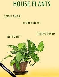 Pin On Health And Fitness