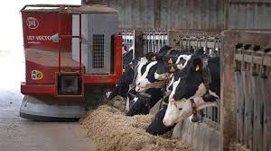 Ce montant est en vigueur jusqu'au mois de mars 2020 (mise en paiement le 4 avril). Bovins Le Montant Des Aides Pac Est Paru La Seyne Maville Com