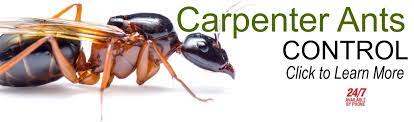 All our technicians are licensed with the pa department of agriculture, have completed pest control. Sani Products Worldwide Inc Pittsburgh Pa