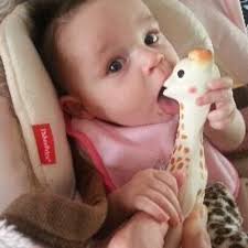 Mitch Null (@mitchnull)