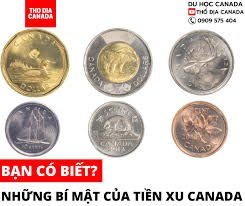 Thổ Địa Canada - 🍁TIỀN XU CANADA THÌ CÓ GÌ ĐẶC BIỆT? Mỗi... | Facebook
