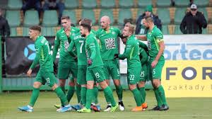 Fortuna 1 Liga Warta Poznan Gotowa Na Walke O Awans Polsat Sport