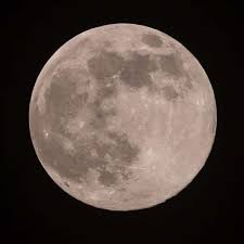 Réalisé en 2008, par gabriel harel à l'école de la poudrière en partenariat avec canal… Kaivyxg1rlmapm