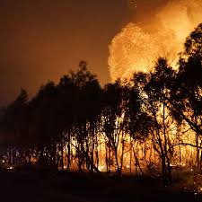 There is 1 active system. Bushfires In The Tropics Queensland Faces Terrifying New Reality Bushfires The Guardian