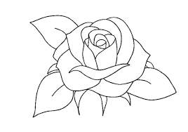 Rose Flower Drawing Step By Step Rose Drawing In 2020 Drawing Lessons For Kids Roses Drawing Drawing For Beginners Drawing of rose flower tutorial for complete beginners step by step.