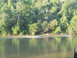 Find beautiful campgrounds across the united states & canada by region. Best Camping On The River Mammoth Spring Rv Park Review Of Spring River Arkansas United States Tripadvisor