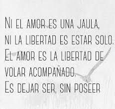 El Amor Es La Libertad De Volar Acompanado Amor Y Libertad Frases Bonitas Libertad Frases
