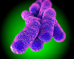 It's caused by the bacterium legionella pneumophila found in both potable and nonpotable water systems. Legionella Watch