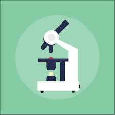 Scriptie Aanleiding En Probleemanalyse 24editor