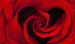 Image result for february month