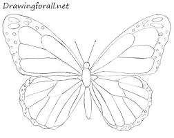 Butterfly Drawing Easy Step By Step Colouring Mermaid In 2020 Butterfly Art Drawing Butterfly Drawing Butterfly Sketch