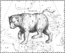 We did not find results for: Bears In The Sky Ursa Major And Ursa Minor Pajarito Environmental Education Center
