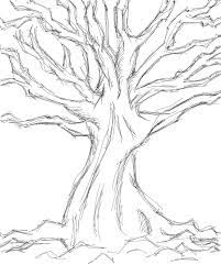 .drawing landscapes and scenery ~ this tutorial provides simple but powerful tips on drawing trees using pen and ink shading techniques and variation in texture. Pin By Jarrad Jones On Drawing Tree Sketches Art Drawings Sketches Simple Tree Drawing