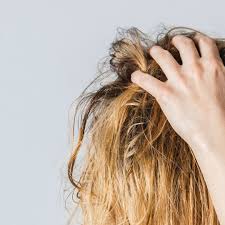 We did not find results for: How To Stop Greasy Hair With Oily Hair Home Remedies
