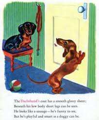 Adopt a teacup pomeranian for free. 72 Wieners Wieners Wieners Ideas Dog Love Dachshund Love Weiner Dog