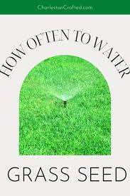 Provide 15 to 20 minutes of water at a time. How Often To Water New Grass Seed The Ultimate Guide