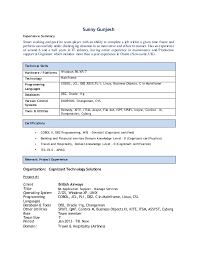 sunny gunjesh resume