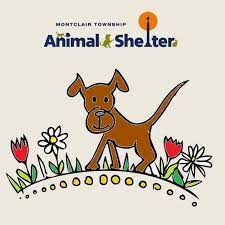 Find a furry new friend and give these dogs and cats the love and care they need. Humane Society Of Jefferson County Tn Home Facebook