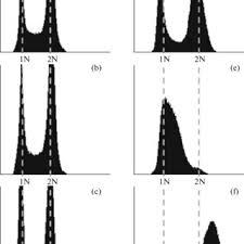 What i would use in a situation such as this would be the kind of spell used to break another spell, or to break a curse. Pdf Evaluation Of Methods Of Synchronization Of Cell Division In Yeast Saccharomyces Cerevisiae