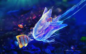 Pin By Maggie Cross On Wildlife Of The Ocean Deep Sea Creatures Underwater Animals Sea Creatures