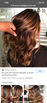 This is one of the more popular shades of brown hair color right now. What Color Highlights Cover The Best On Dark Brown Hair Quora