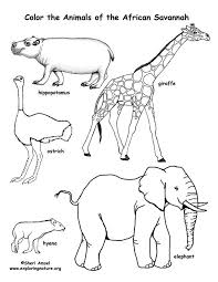 We've got a large collection of original colouring pages of african animals here, including monkeys and apes, elephants, giraffes, snakes, springboks, leopards and more! African Coloring Page Coloring Home