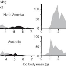 Pdf Extinctions Of Big Game