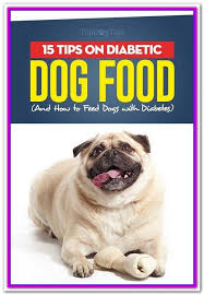 If your dog is overweight, losing some pounds can help their cells better use insulin, a most dogs do fine with food you can buy at the store. Best Commercial Dog Food For Diabetic Dogs 5 Recommended Dog Foods For Diabetic Dogs Wellness Core N Diabetic Dog Diabetic Dog Food Healthy Dog Food Recipes