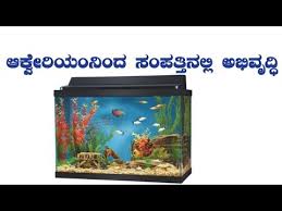 Benefits Of Aquarium In House Call 91 9448286758 Saral Vaastu Youtube