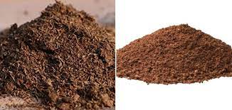 Check spelling or type a new query. Peat Moss For Vegetable Garden A Full Guide Gardening Tips