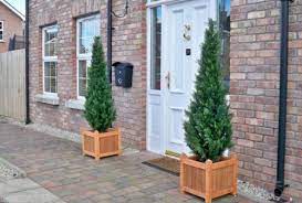 In creating our artificial conifer trees, we take great care to replicate the bark of the tree trunks. Artificial 5ft Cedar Pine Cypress Conifer Tree The Artificial Flowers Company