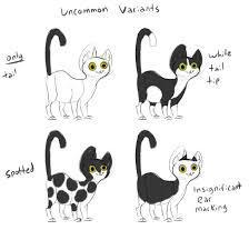Kikidoodle Purrmaids Pa Twitter What About Mutations Other Than The Swirled Pattern These Are Some Coat Types Only Seen In Isolated Populations For The Most Part While Physically Possible These Patterns