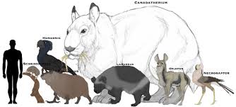 The Canadian Ice Age Animals Size Comparison By Glazesugarnavalblock On Deviantart Animals Canadian Ice Ice Age