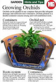 Pin On Plant Best Care